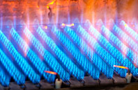Puttenham gas fired boilers